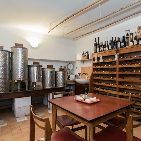 B&B Carmela Umag Zewnętrze zdjęcie